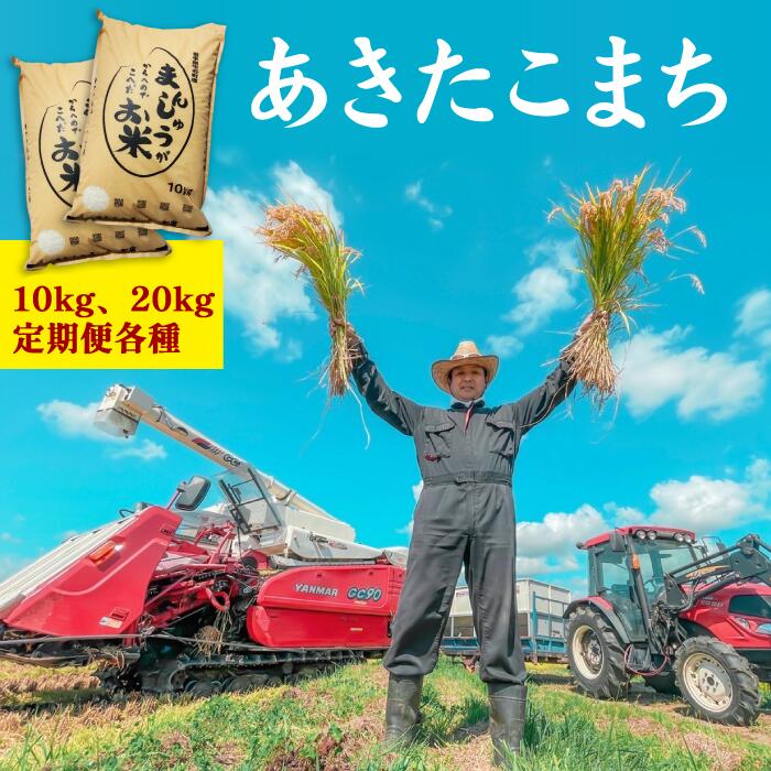 【ふるさと納税】 米 白米 あきたこまち 精米 10kg 20kg 定期便 GAP認...