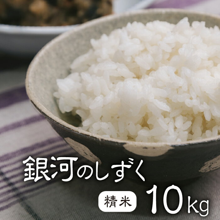 【ふるさと納税】 銀河のしずく 精米 10kg／ 砂壁製米舎 数量限定10キロ ご飯 コメ こめ 美味しい 農...