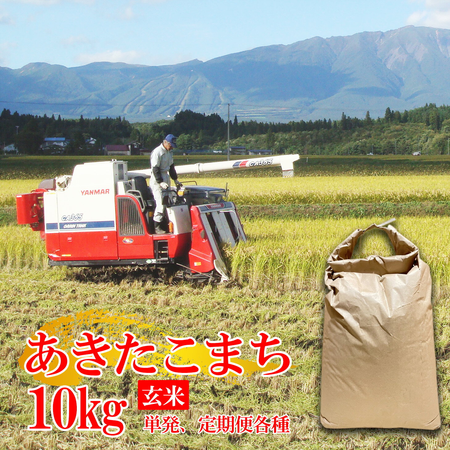 【ふるさと納税】あきたこまち おすすめ 令和6年産 玄米 10kg 定期便 3ヶ月 6ヶ月 10キロ 米 お米 コメ ご飯 美味い 地元 人気 美味しい おいしい 美味しさ そのまま 稲作 産地直送 農家直送 こめ お弁当 【農事組合法人ユニティファーム七区】 岩手県 雫石町 送料無料のサムネイル