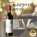 【ふるさと納税】岩手くずまきワイン 赤ワイン 【山ぶどうワイン・赤720ml】 1本【1648942】