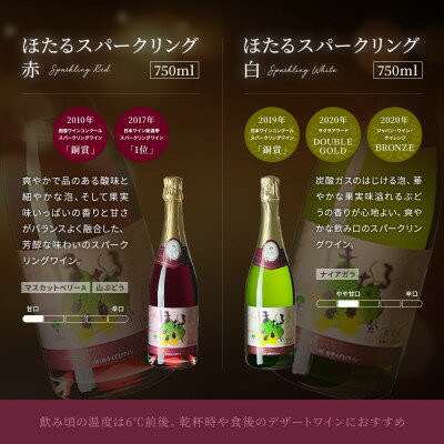 【ふるさと納税】スパークリングワイン 2本セット ( 赤ワイン 白ワイン ) 甘口 飲み比べ ワイン 詰め合わせ【1226088】