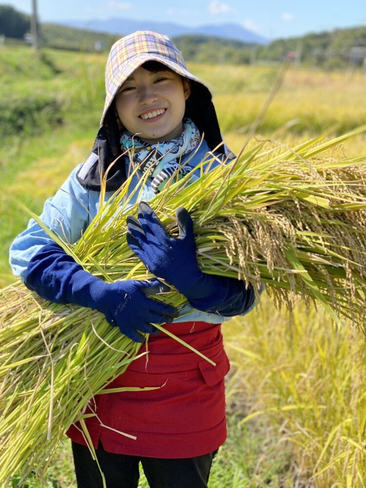 【ふるさと納税】【定期便】令和5年産 新米 岩手町産いわてっこ 10kg（5kg×2袋）6か月毎月配送（計60kg）※着日指定不可※離島への配送不可