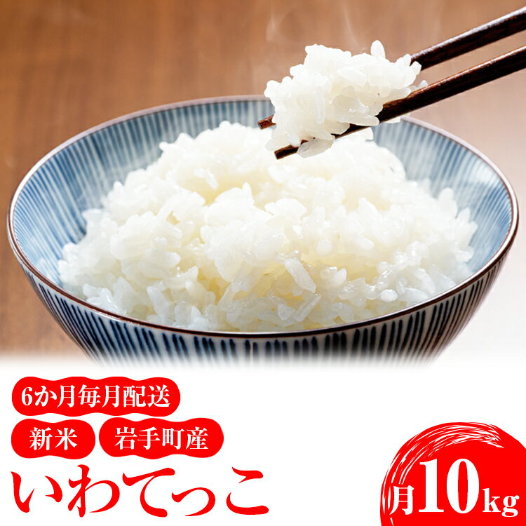 1位! 口コミ数「0件」評価「0」【定期便】令和5年産 新米 岩手町産いわてっこ 10kg（5kg×2袋）6か月毎月配送（計60kg）※着日指定不可※離島への配送不可