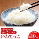 14位! 口コミ数「0件」評価「0」【定期便】令和5年産 新米 岩手町産いわてっこ 10kg（5kg×2袋）6か月毎月配送（計60kg）※着日指定不可※離島への配送不可