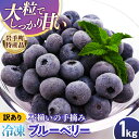 【ふるさと納税】【岩手町産】冷凍ブルーベリー 1kg【訳あり】 冷凍 家庭用 大粒 不揃い 果物 フルーツ 国産 岩手県産 フローズン おやつ デザート 岩手県 岩手町