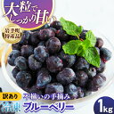 【ふるさと納税】【岩手町産】冷凍ブルーベリー 1kg【訳あり】 冷凍 家庭用 大粒 不揃い 果物 フルーツ 国産 岩手県産 フローズン おやつ デザート 岩手県 岩手町