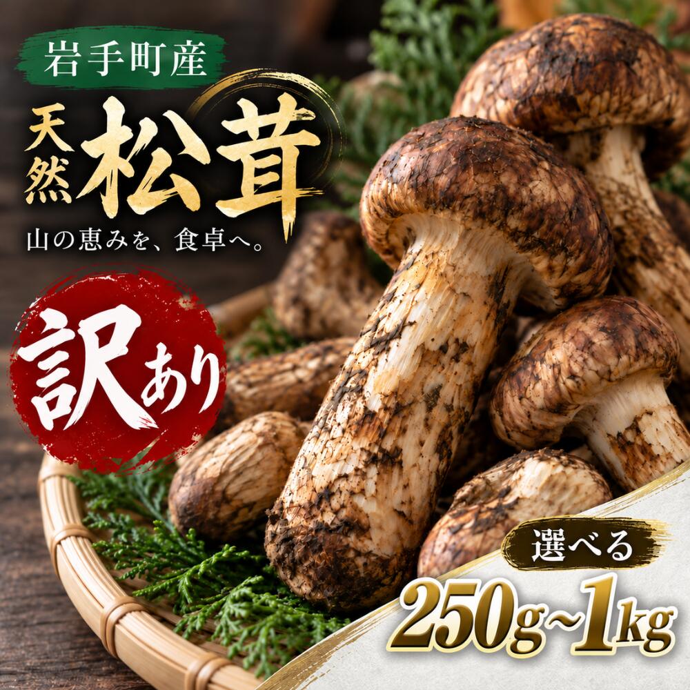 松茸 訳あり 国産松茸 天然松茸 訳あり松茸 まつたけ マツタケ 岩手県産 岩手町産 先行予約 選べる容量 250g 500g 1kg 2026年発送 秋の味覚 天然まつたけ 希少 家庭用 自宅用 サイズ不揃い きのこ 松茸ご飯 焼き松茸 土瓶蒸し 天ぷら 炊き込みご飯 冷蔵配送