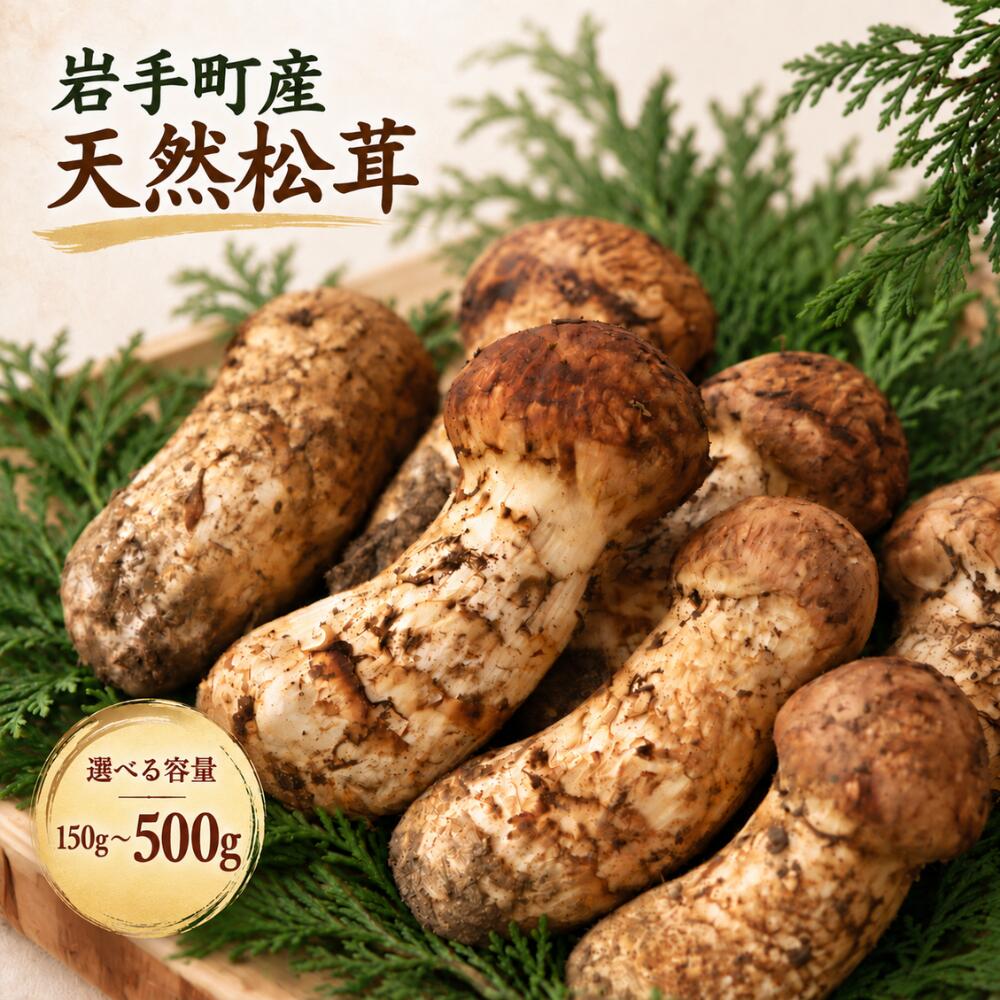松茸 国産松茸 天然松茸 まつたけ マツタケ 岩手県産 岩手町産 先行予約 選べる容量 150g 250g 400g 500g 産地直送 松茸ご飯 土瓶蒸し 焼き松茸 お吸い物 天ぷら 秋の味覚 旬 希少 野菜 きのこ 王様 山の幸 国産 贈り物 ギフト 高級 2026年発送 冷蔵配送