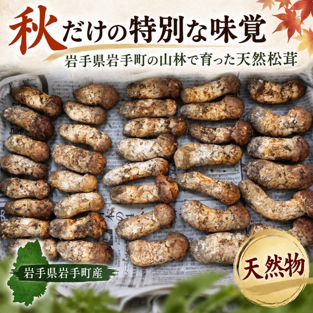 【ふるさと納税】【2027年10月頃より順次発送】松茸 国産松茸 天然松茸 まつたけ マツタケ 岩手県産 岩手町産 選べる容量 150g 250g 400g 500g 産地直送 松茸ご飯 土瓶蒸し 焼き松茸 お吸い物 天ぷら 秋の味覚 旬 希少 野菜 きのこ 王様 国産 贈り物 ギフト 高級 冷蔵配送 f033031-iwate-10000328 岩手県岩手町 サンプル画像3