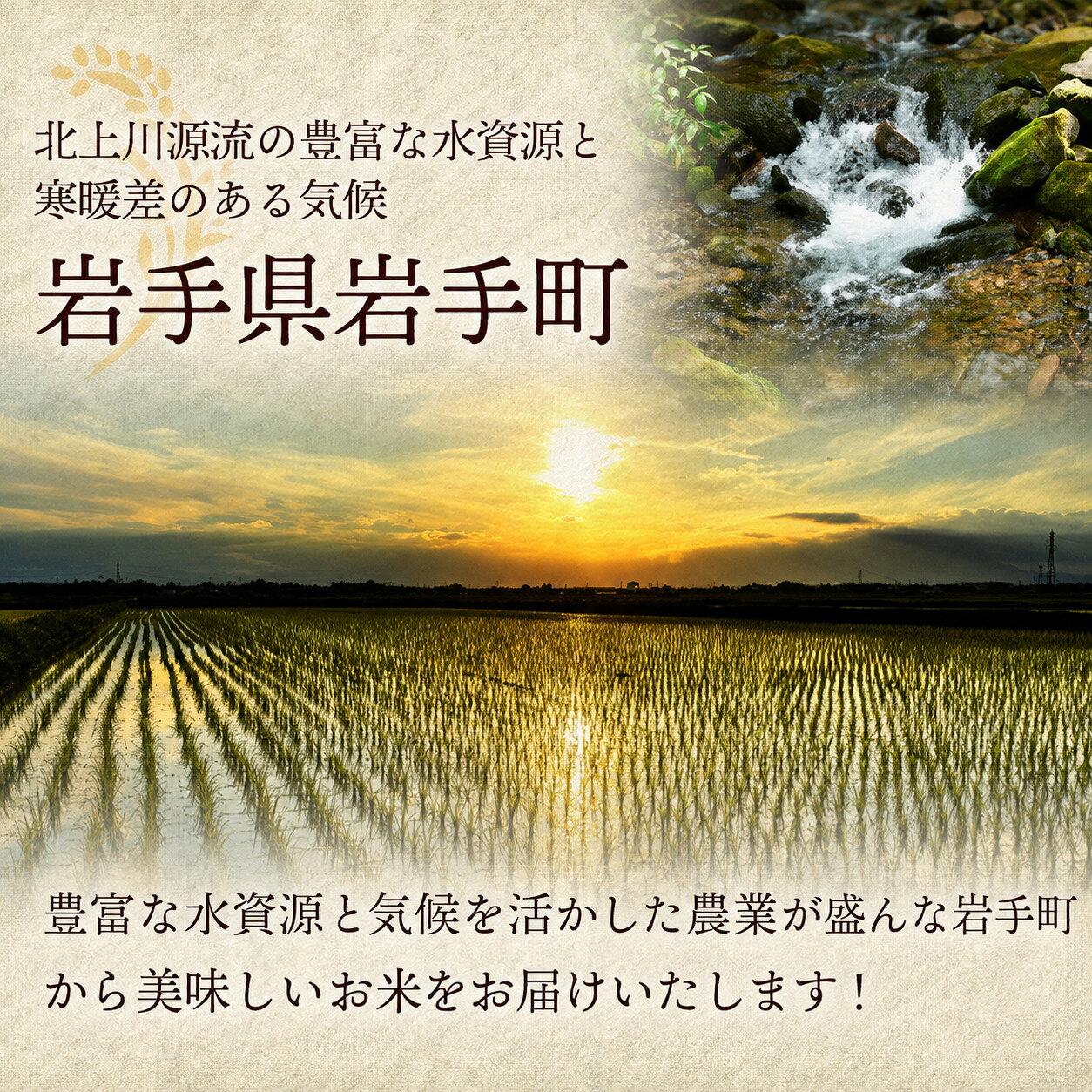 【ふるさと納税】 令和7年産 岩手町産 あきたこまち 選べる容量 5kg 10kg 白米 米 精米 お米 単一原料米 ブランド米 国産米 岩手県 岩手町 送料無料 f033031-iwate-10000334 岩手県岩手町 サンプル画像3