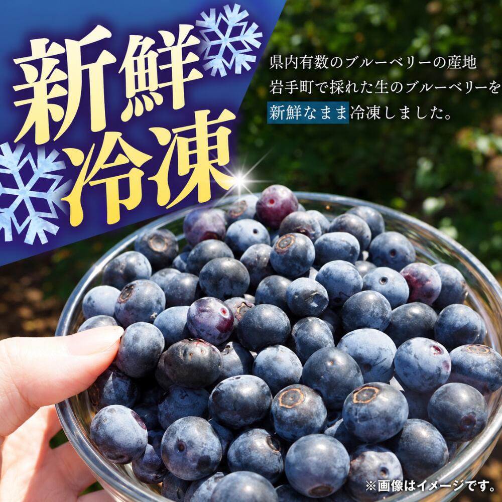 【ふるさと納税】 ブルーベリー 冷凍 国産 1kg 大粒 果物 フルーツ ベリー 製菓用 スムージー ヨーグルト 朝食 ジュース 食物繊維 ビタミンE アントシアニン ジャム 健康 美容 くだものお取り寄せグルメ 食べ物 たべもの 食品 ご当地 特産品
