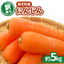 【ふるさと納税】【訳アリ】岩手町産の旬野菜(にんじん)約5kg ニンジン 人参 大容量 5kg ワケアリ 訳あり 家庭用 規格外 不揃い 産地直送 送料無料 岩...
