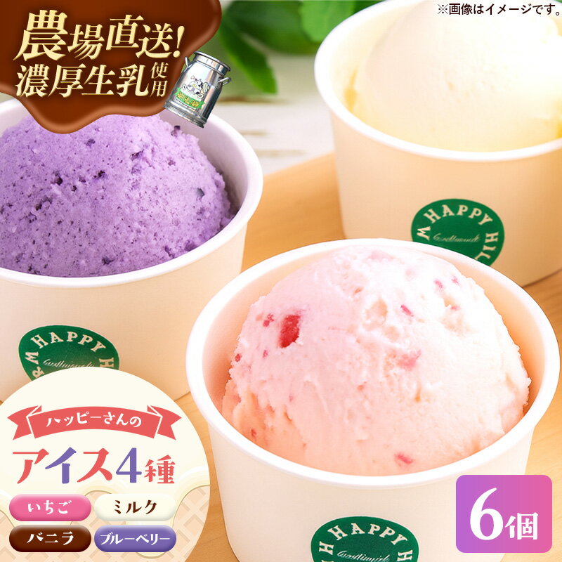 【ふるさと納税】ハッピーさんのアイス 4種類6個入り アイスクリーム カップ スイーツ あいす セット ギフト プレゼント 贈り物 夏 ミ..