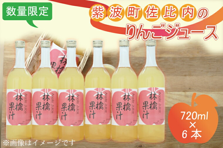 紫波町佐比内のりんごジュース(6本×720ml) ふるさと納税 りんご