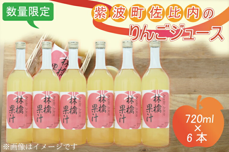 4位! 口コミ数「0件」評価「0」紫波町佐比内のりんごジュース（6本×720ml） ふるさと納税 りんご （BC005）