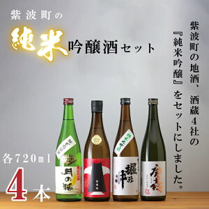 【ふるさと納税】紫波町の純米吟醸酒セット（AZ010-1）