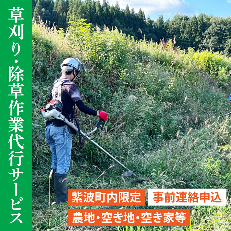 [要事前連絡]草刈り、除草作業サービス(農地、空き地、空き家等)