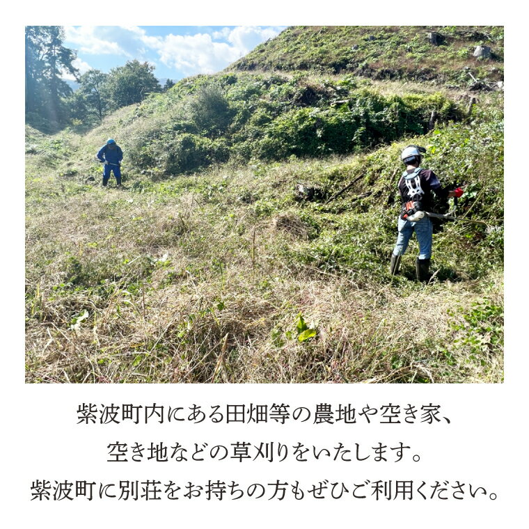 【ふるさと納税】【要事前連絡】草刈り、除草作業サービス（農地、空き地、空き家等）（DQ001）その2