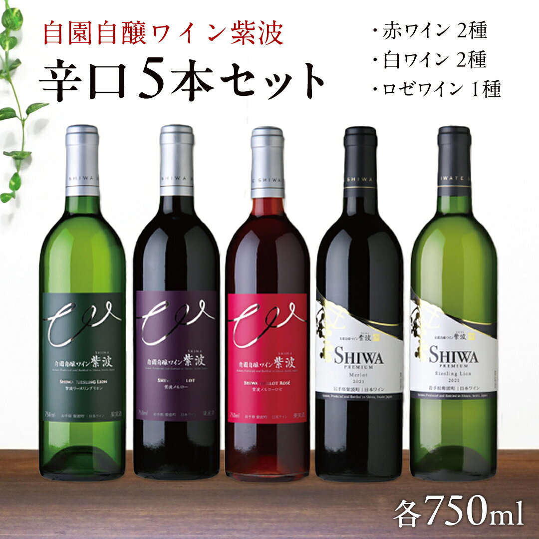 産地限定 ワインぶどう品種 使用 「自園自醸ワイン紫波辛口5本セット」 ふるさと納税 紫波町産 テロワール ワイン