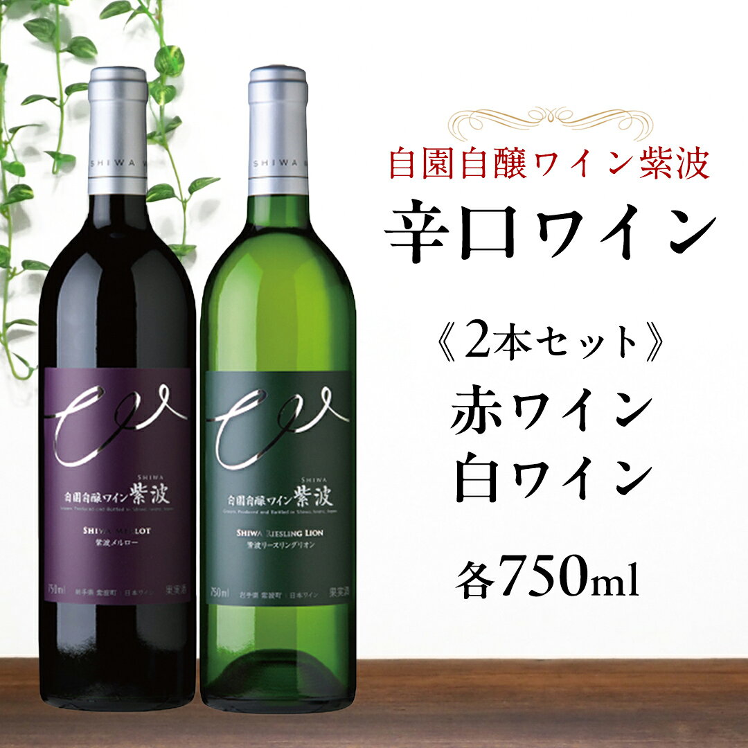 産地限定 ワインぶどう品種使用 自園自醸ワイン紫波 辛口ワイン2本セット ふるさと納税 紫波町産 テロワール ワイン (AL045-1)