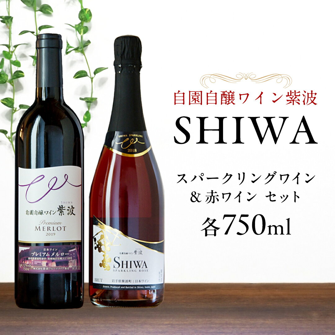 【ふるさと納税】 産地限定 ワインぶどう品種使用 スパークリングワイン・赤ワインセット【自園自醸ワイン紫波】 ふるさと納税 紫波町産 テロワール ワイン （AL063-1）