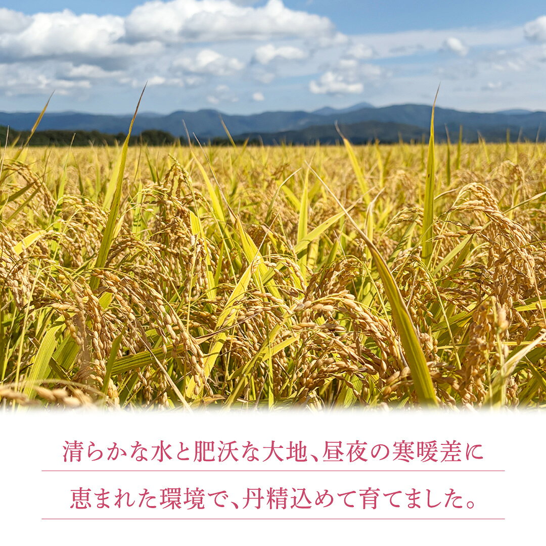 【ふるさと納税】【 新米 】 令和8年産 ひとめぼれ 5kg 精米 こめ コメ お米 おこめ ライス 白米 ご飯 ごはん 米 岩手県 紫波町産 5キロ 国産米 (AO006) f033219-shiwa-10001158 岩手県紫波町 サンプル画像3