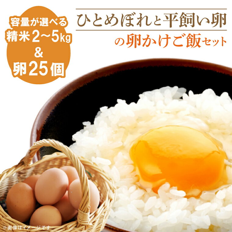 「ひとめぼれ」と「平飼い卵」のたまごかけご飯セット ふるさと納税 米 ひとめぼれ たまご5kg 2kg (YA001|YA002)