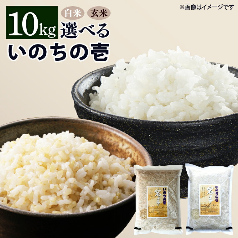 【ふるさと納税】 いのちの壱 令和5年産 10kg 精米 玄