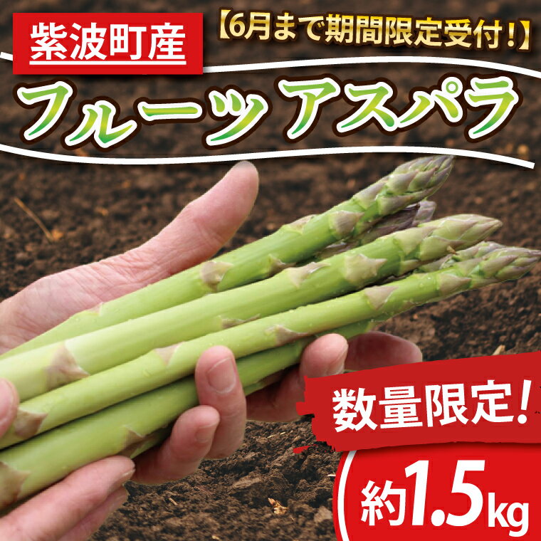 14位! 口コミ数「2件」評価「5」【期間限定受付！】紫波町産フルーツアスパラ　約1.5kg（CS001）