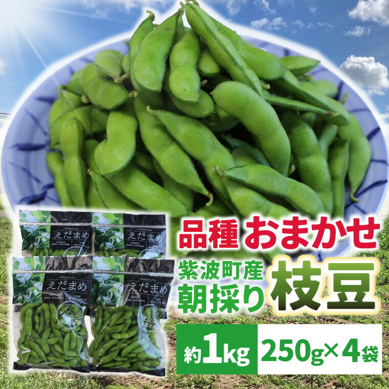 【ふるさと納税】採れたて枝豆1kg...