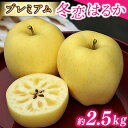 【ふるさと納税】★先行予約 数量限定★ りんご はるか 「プレミアム 冬恋 約2.5kg」 糖度16度以上 蜜入り保証 冬恋はるか りんご 岩手 林檎 贈答 ギ...