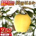 【ふるさと納税】★先行予約 数量限定★ りんご はるか 「純情はるか」約2.5kg 岩手県産 りんご リンゴ 林檎 純情 はるか フルーツ くだもの 果物 【冬...