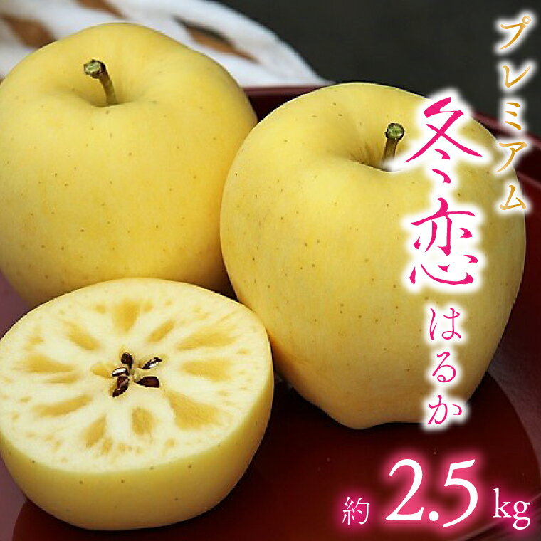 【ふるさと納税】★2024 年内 発送 数量限定★ フルーツ りんご 「プレミアム 冬恋 約2.5kg」 糖度16度以上 蜜入り保証 岩手 林檎 贈答 ギフト 高級フルーツ 【冬恋研究会】(AI017)のサムネイル