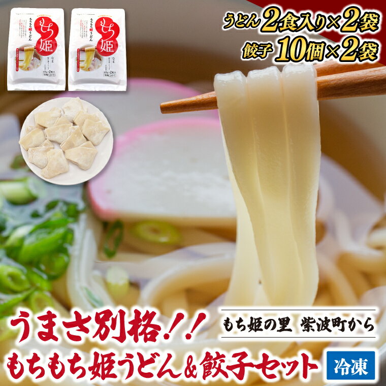 【ふるさと納税】うどん 餃子 冷凍 小分け 紫波町産 生もちもち姫うどん & もちもち姫餃子 セット (AI013-1)