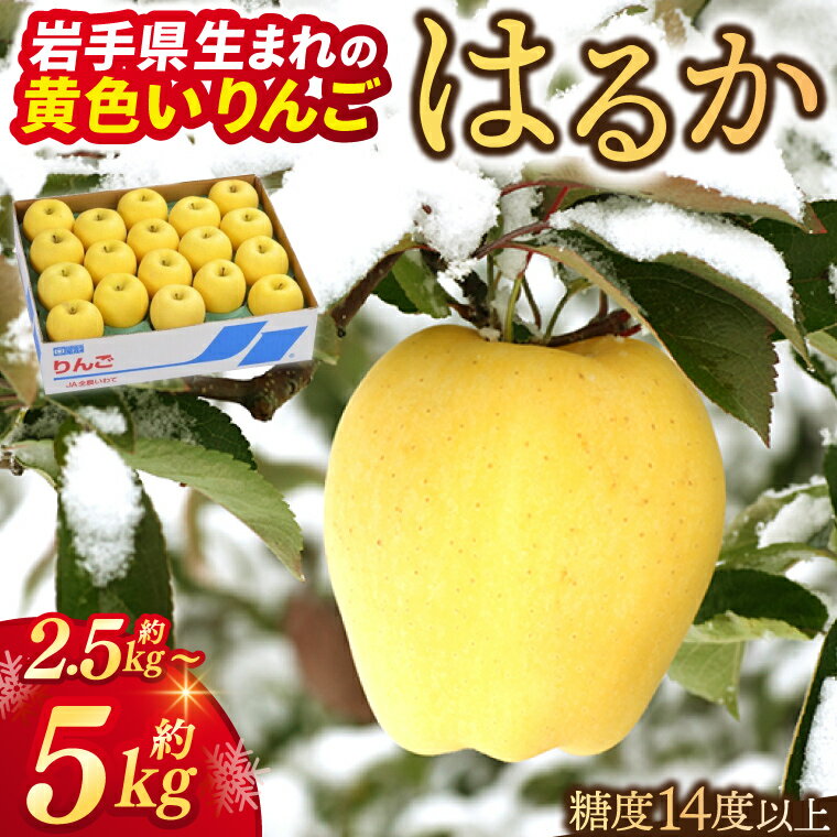 【ふるさと納税】りんご はるか 選べる容量♪ 「純情はるか 約2.5kg 約5kg 」【2024 年内発送】 数量限定 岩手県産 りんご リンゴ 林檎 純情 はるか フルーツ くだもの 果物 【冬恋研究会】 (AI014 | AI015)のサムネイル