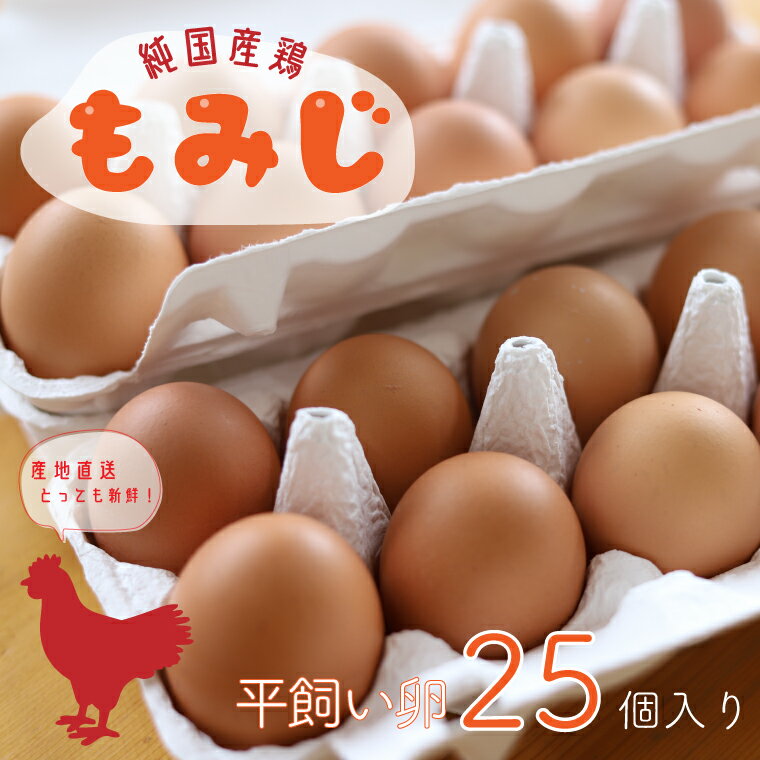 2位! 口コミ数「13件」評価「4.85」 卵 玉子 鶏卵 【純国産鶏もみじ】 ふるさと納税 たまご 平飼い卵25個入り（AJ005-1）