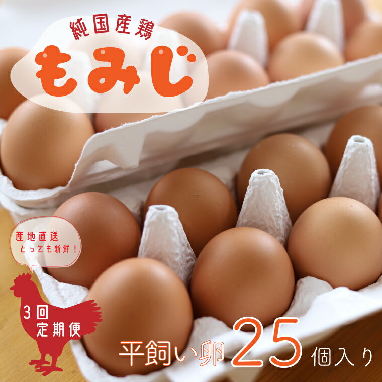 4位! 口コミ数「5件」評価「5」卵 ふるさと納税 たまご 玉子 鶏卵 【純国産鶏もみじ】 平飼い卵25個入り【選べる定期便】 3ヵ月 6ヶ月 12ヶ月（AJ006-1）