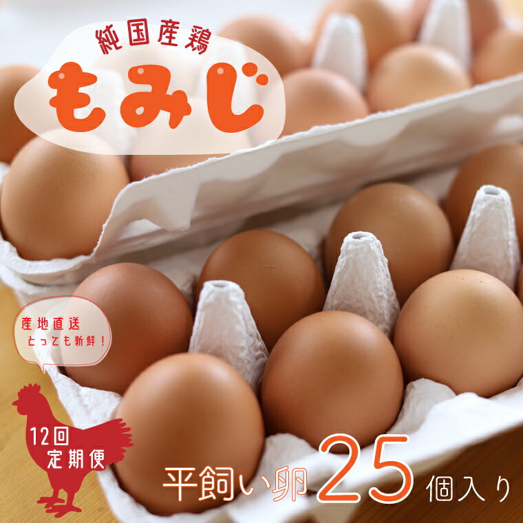 卵 ふるさと納税 たまご 玉子 鶏卵 [純国産鶏もみじ] 平飼い卵25個入り[12ヶ月連続お届け]