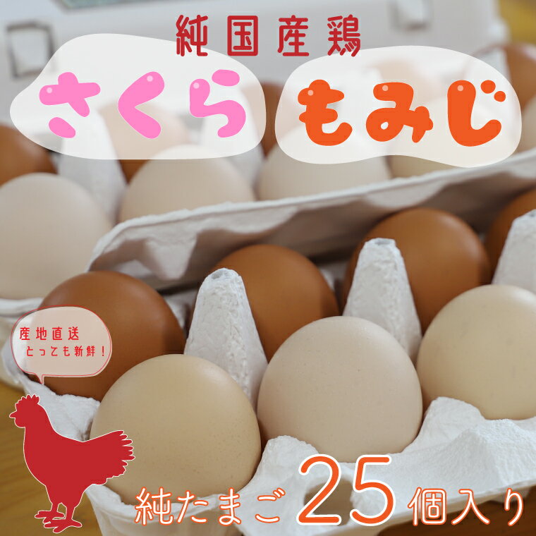 卵 玉子 鶏卵 純国産鶏[さくらともみじ] ふるさと納税 たまご 純たまご25個(AJ013-1)