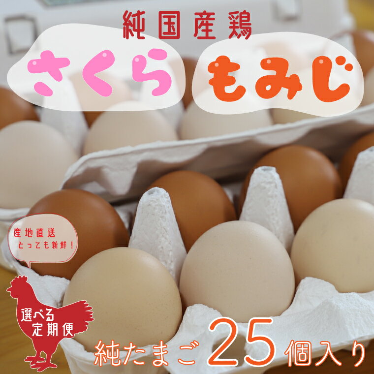 【ふるさと納税】卵 玉子 鶏卵 純国産鶏【さくら...の商品画像