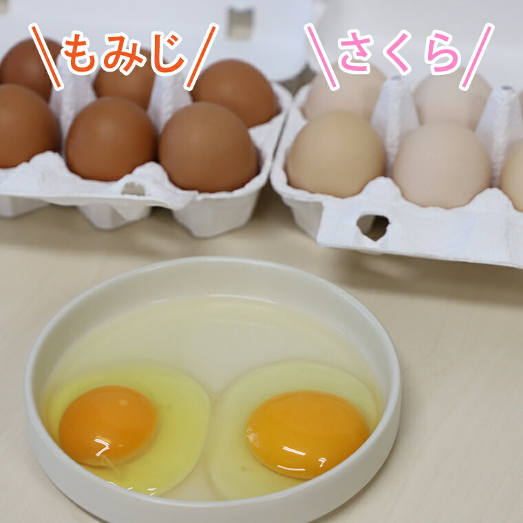 【ふるさと納税】卵 玉子 鶏卵 純国産鶏【さく...の紹介画像2