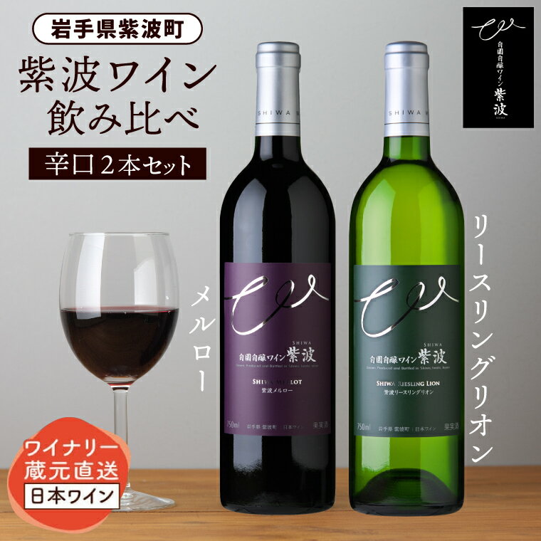 産地限定 ワインぶどう品種使用 自園自醸ワイン紫波 辛口ワイン2本セット ふるさと納税 紫波町産 テロワール ワイン (AL045-1)