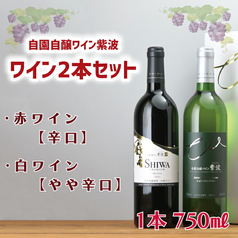 24位! 口コミ数「0件」評価「0」ワイン2本セット【自園自醸ワイン紫波】 ふるさと納税 ワイン （AL040-1）