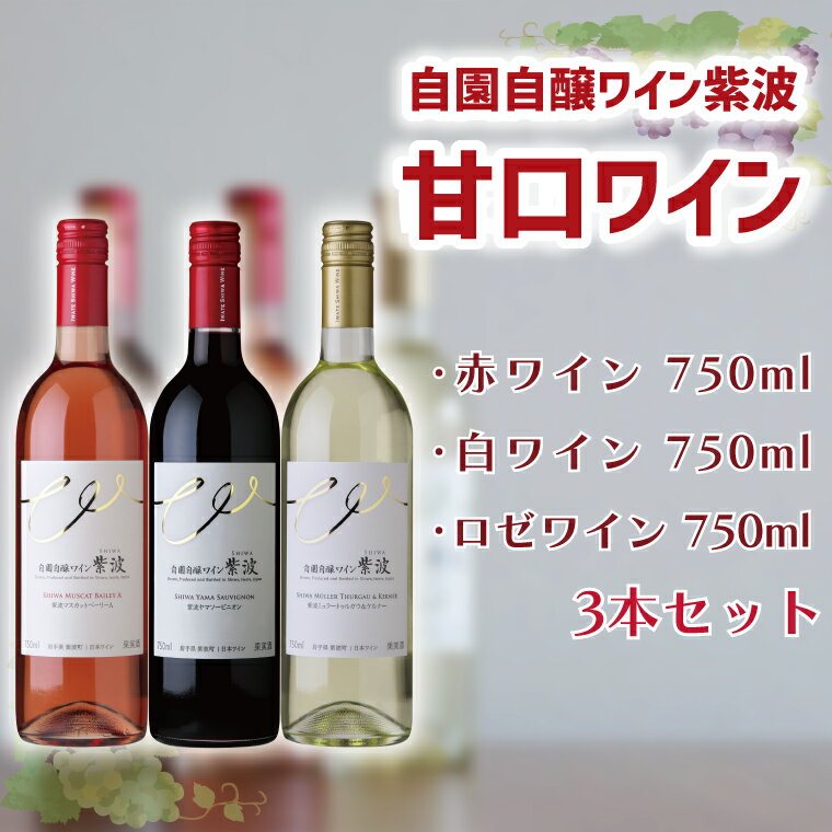【ふるさと納税】 自園自醸ワイン紫波 甘口ワイン3本セット ふるさと納税 ワイン （AL044）