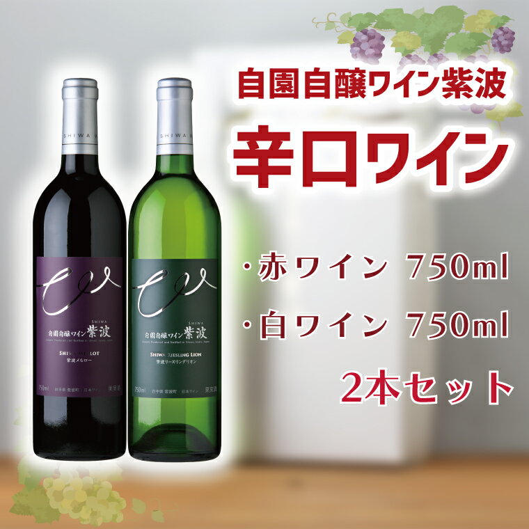 【ふるさと納税】 自園自醸ワイン紫波 辛口ワイン2本セット ふるさと納税 ワイン （AL045-1）