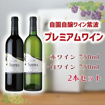 自園自醸ワイン紫波 プレミアムワイン2本セット ふるさと納税 ワイン （AL046-1）