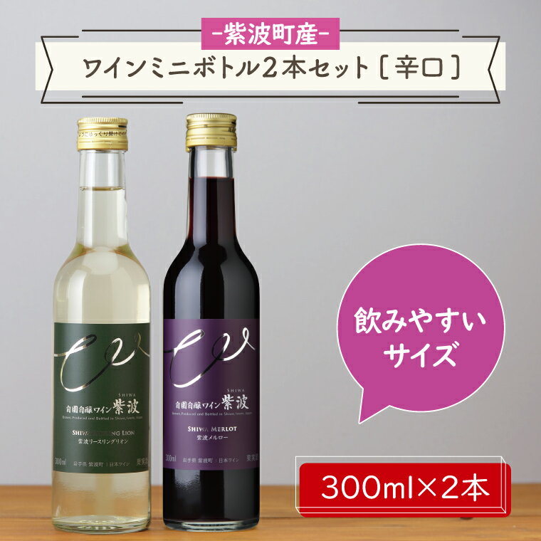 6位! 口コミ数「0件」評価「0」ワインミニボトル2本セット[辛口] ふるさと納税 ワイン （AL056-1）