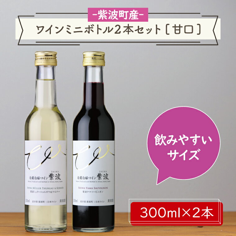 ワインミニボトル2本セット[甘口] ふるさと納税 ワイン (AL057-2)