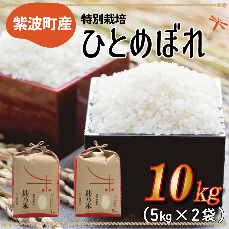 10kg 白米 岩手県紫波町産ひとめぼれ5kg×2袋(10kg) ふるさと納税 米 ひとめぼれ [特別栽培米]