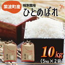 【ふるさと納税】 10kg 白米 岩手県紫波町産ひとめぼれ5kg×2袋（10kg） ふるさと納税 米 ひとめぼれ 【特別栽培米】（AC008）